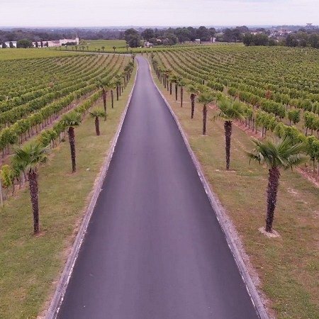 Photo de mariage drone - 0000002.