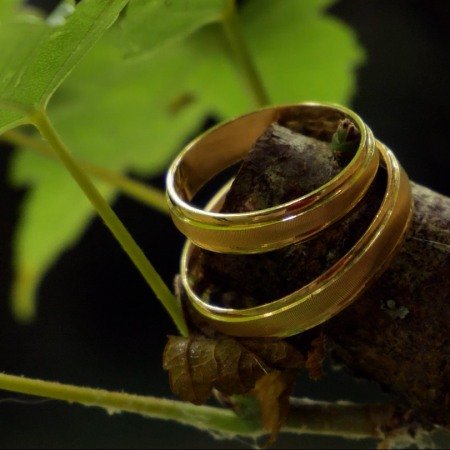 Mariage C & L - bois fleuri Bordeaux 71032731